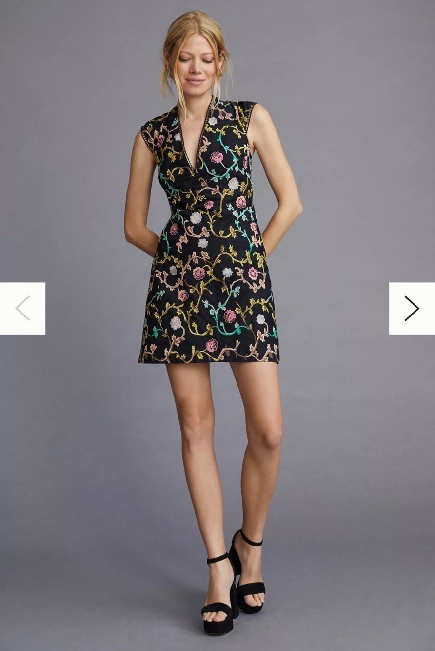 NWT❤️Anthropologie Embroidered Mini Dress sz16